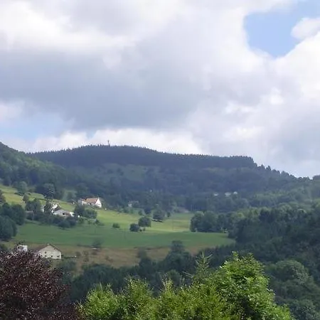 Chalet De Grettery Saulxures-sur-Moselotte Buitenkant foto