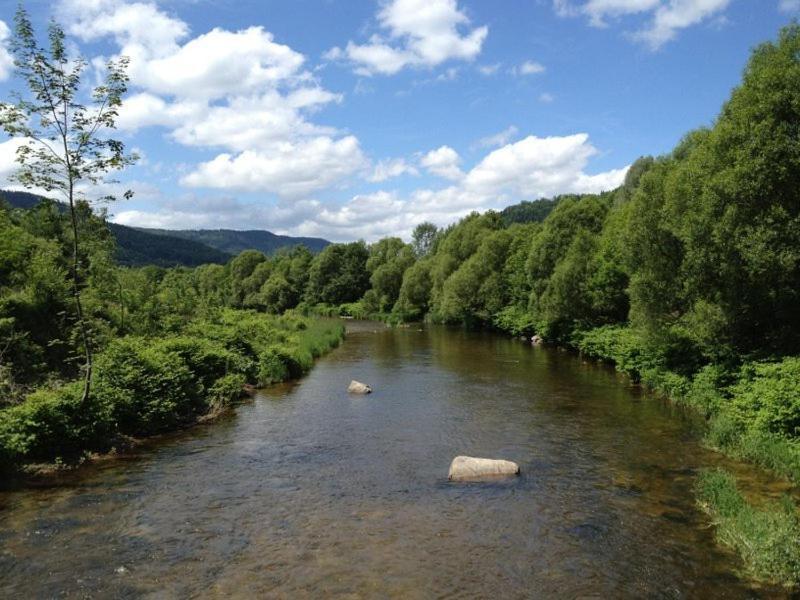 De Grettery Chalet Saulxures-sur-Moselotte