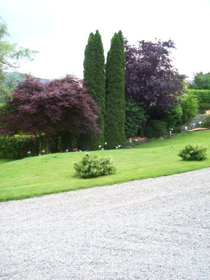 Chalet De Grettery Saulxures-sur-Moselotte